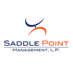 Saddle Point Logo